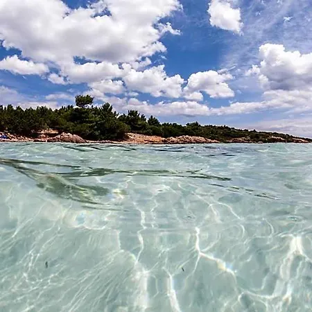 White Olbia