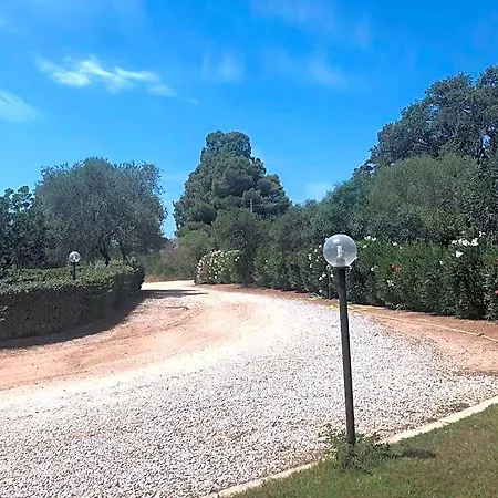 White 4* Olbia